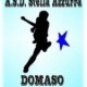 Domaso